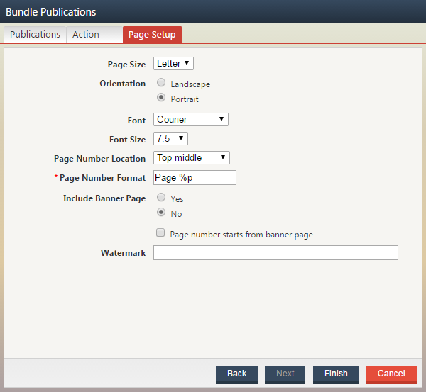 Screenshot of the Page Setup tab of the Bundle Publications Wizard.